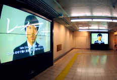 コリドーマルチ8